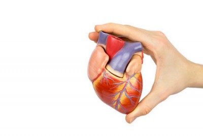 Кардиология