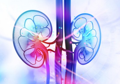 УЗИ почечных артерий в Красноярске