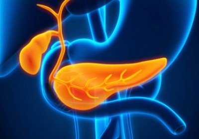 УЗИ при панкреатите, что покажет?