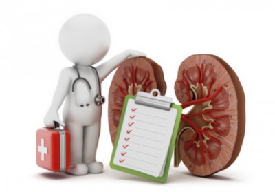 Сделать УЗИ почек в Красноярске